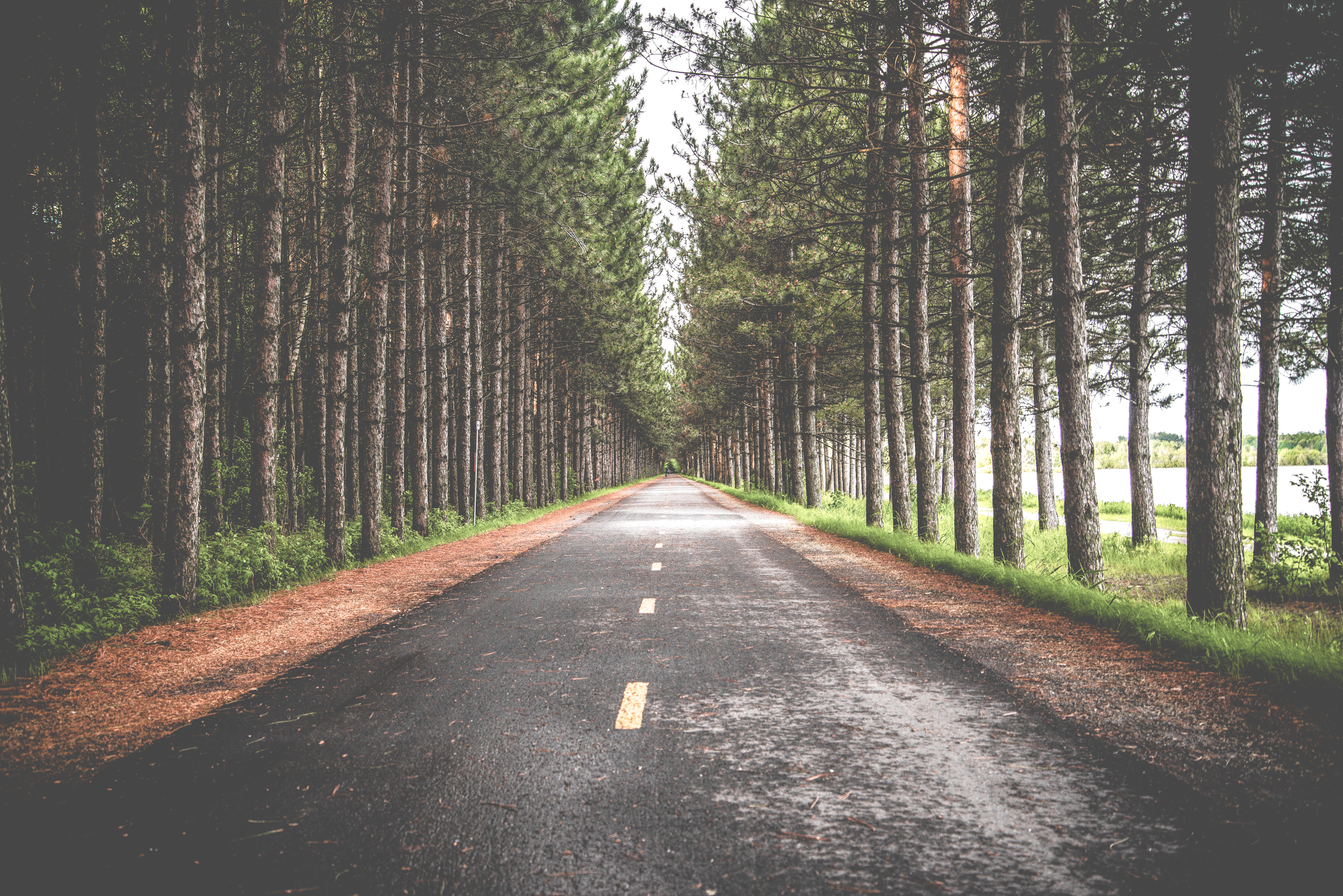 The Road Less Traveled The Shame Of The Cross Eric Nelsons Blog